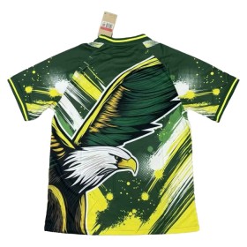 Fotbalové dres Brazílie Special 2024-25 Krátký Rukáv